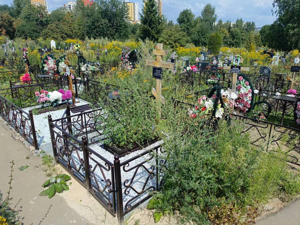 Люлин Сергей Николаевич