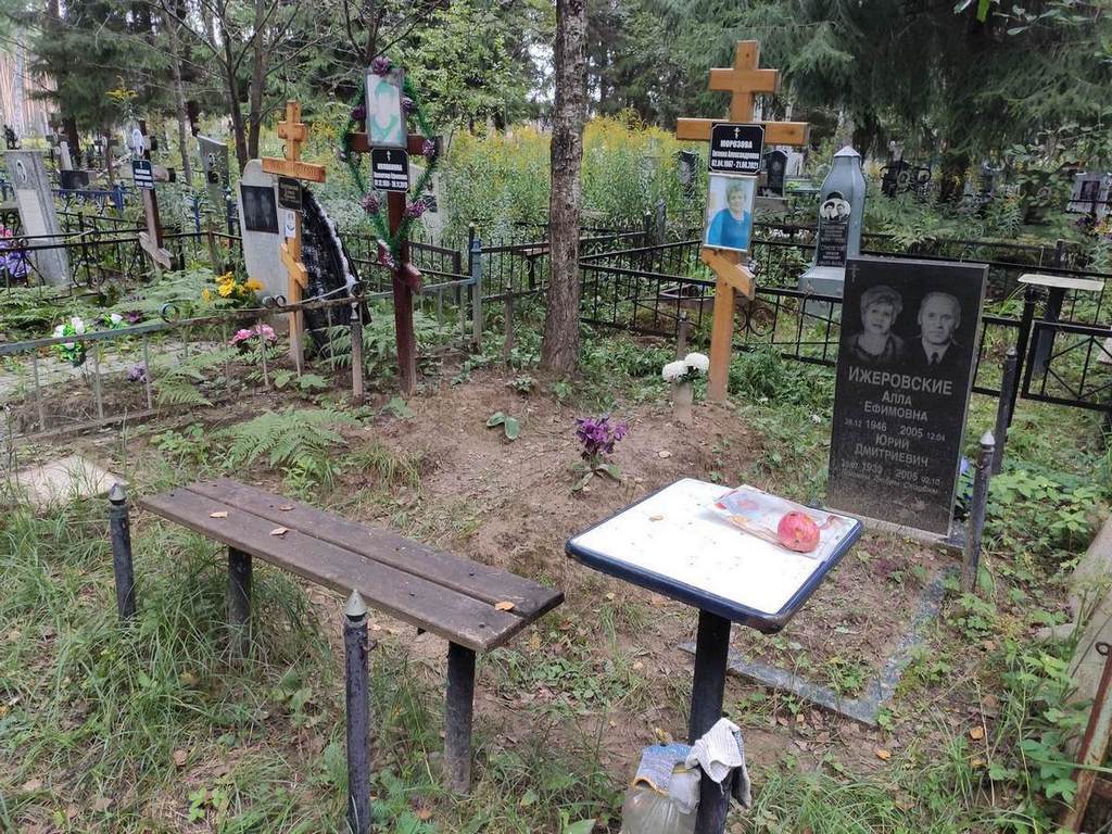Ижеровская Алла Ефимовна