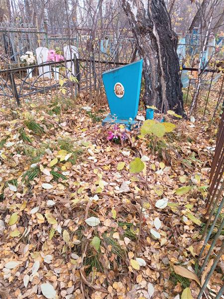 Сурков Михаил Семёнович