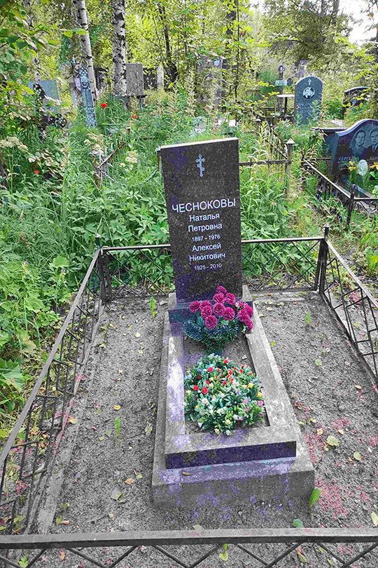 Чеснокова Наталья Петровна