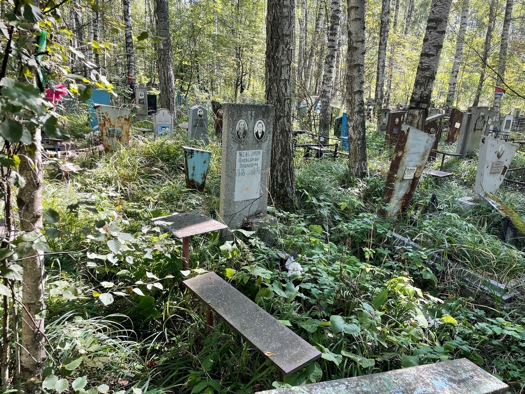 Железнов Александр Павлович