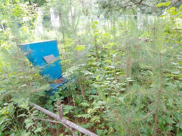 Лузов Игорь Федорович