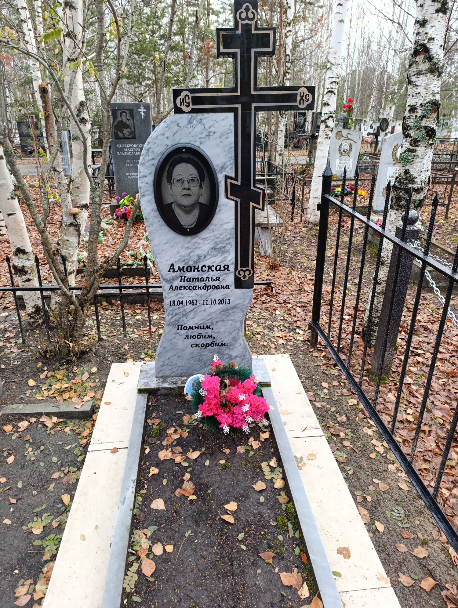 Амонская Наталья Александровна