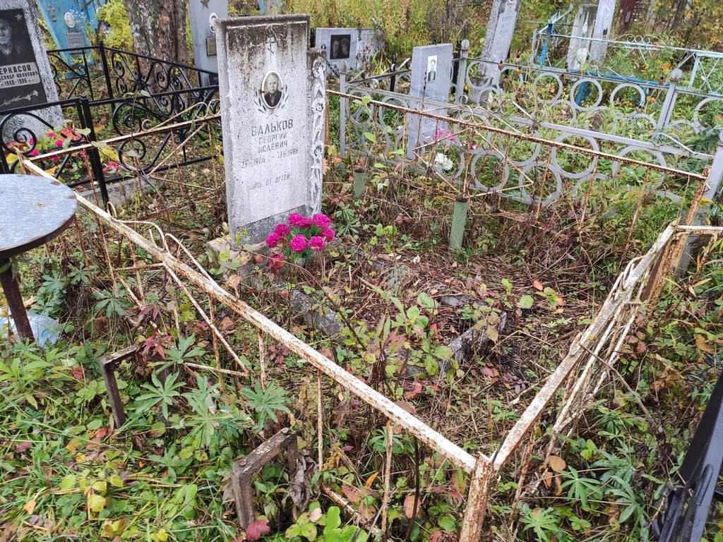 Вальков Георгий Исаевич