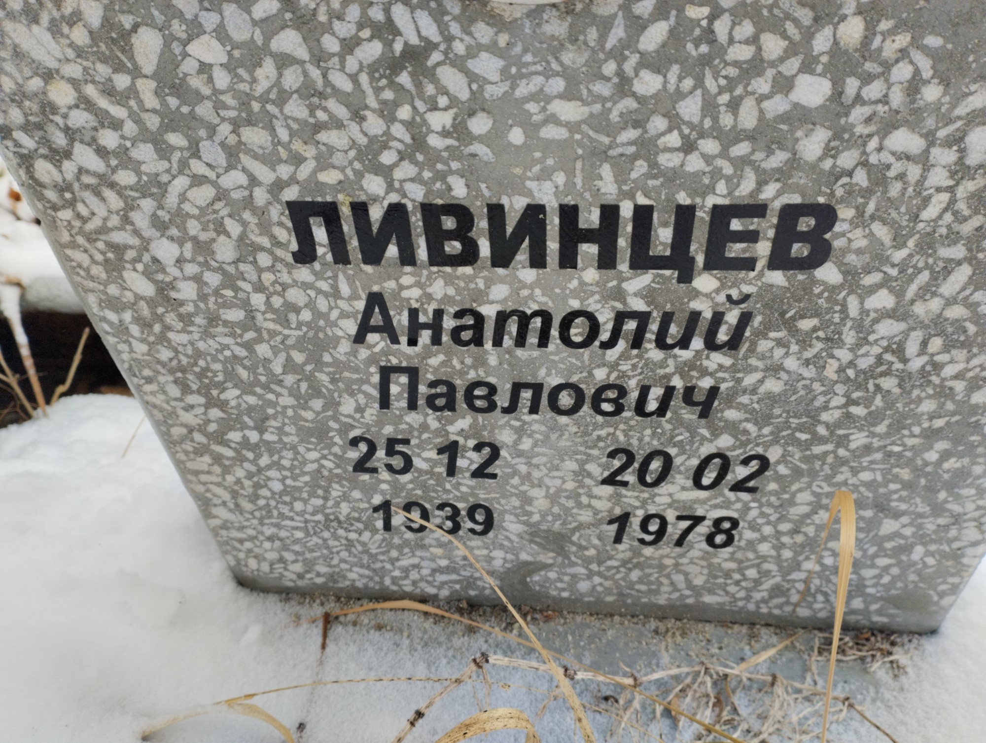 Ливинцев Анатолий Павлович