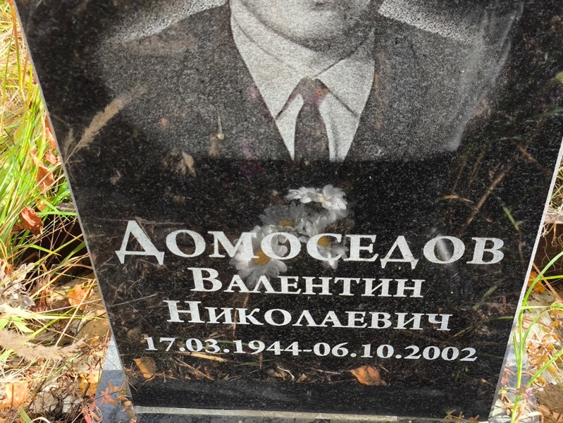 Домоседов