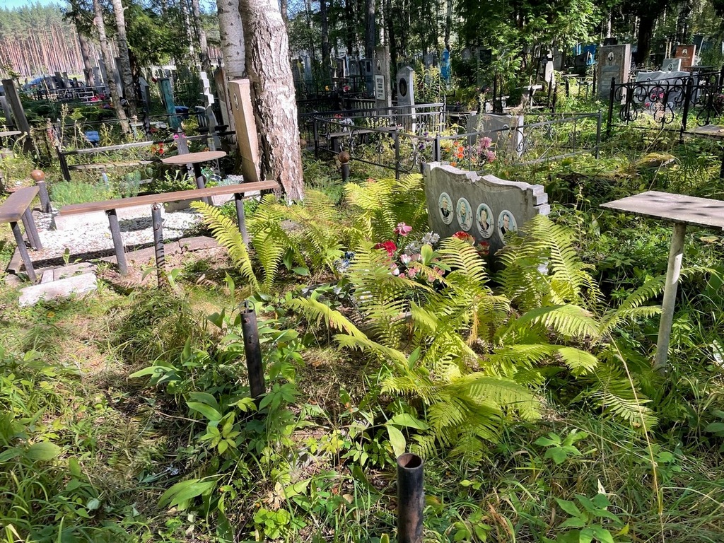 Лебедева Серафима Алексеевна