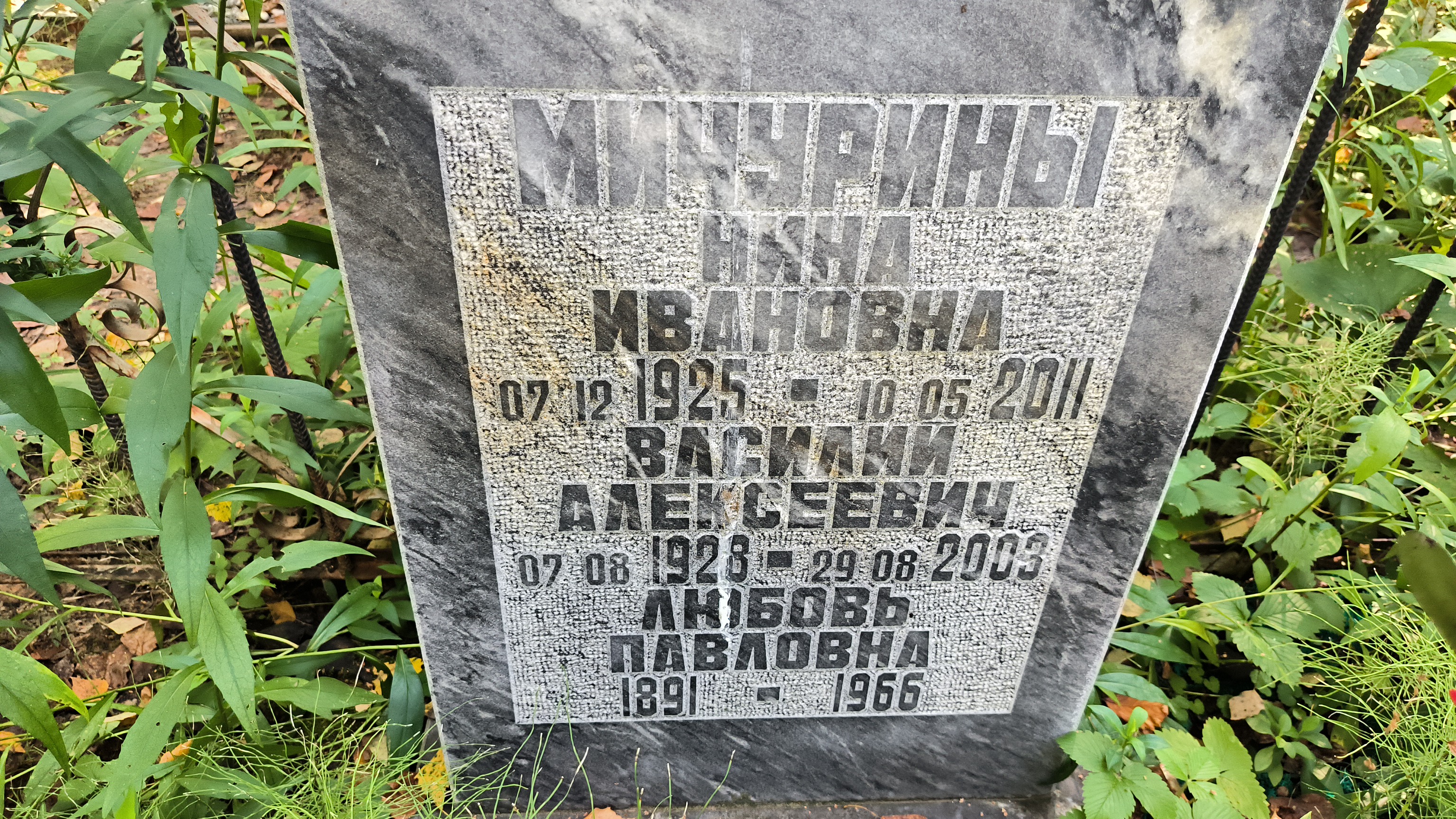 Мичурин Василий Алексеевич