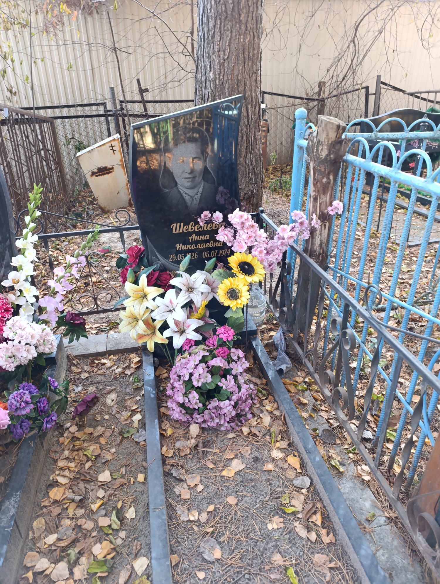 Шевелева Анна Николаевна