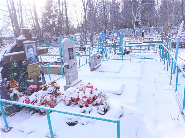 Браунгоф Виктор Евгеньевич