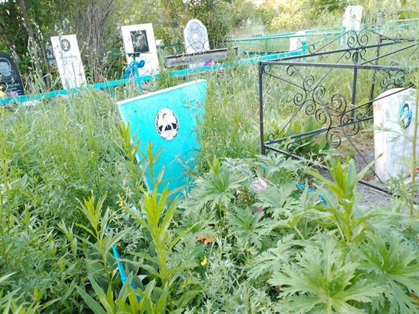 Кудоманова Наталья Григорьевна