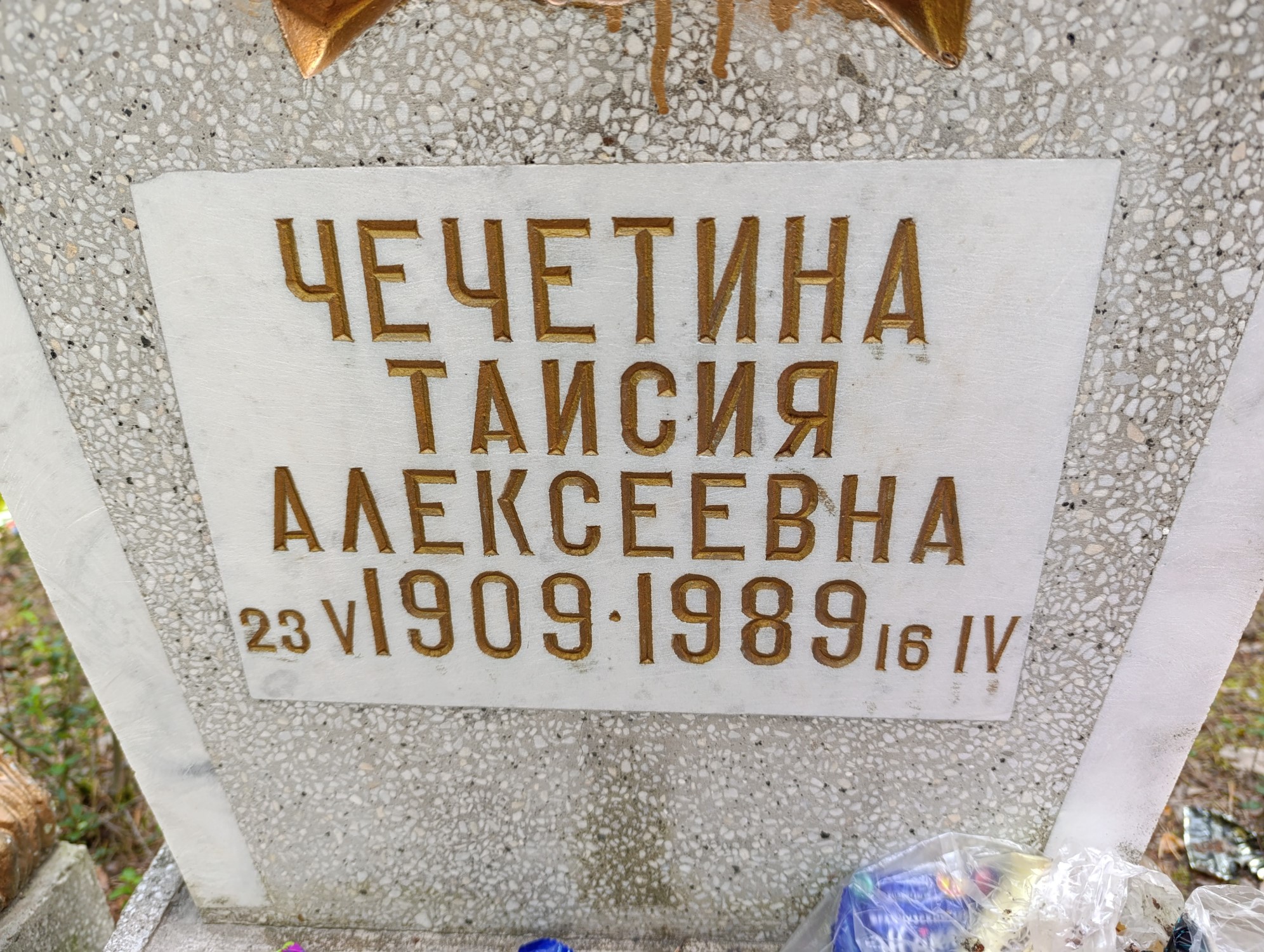 Чечетина Таисия Алексеевна