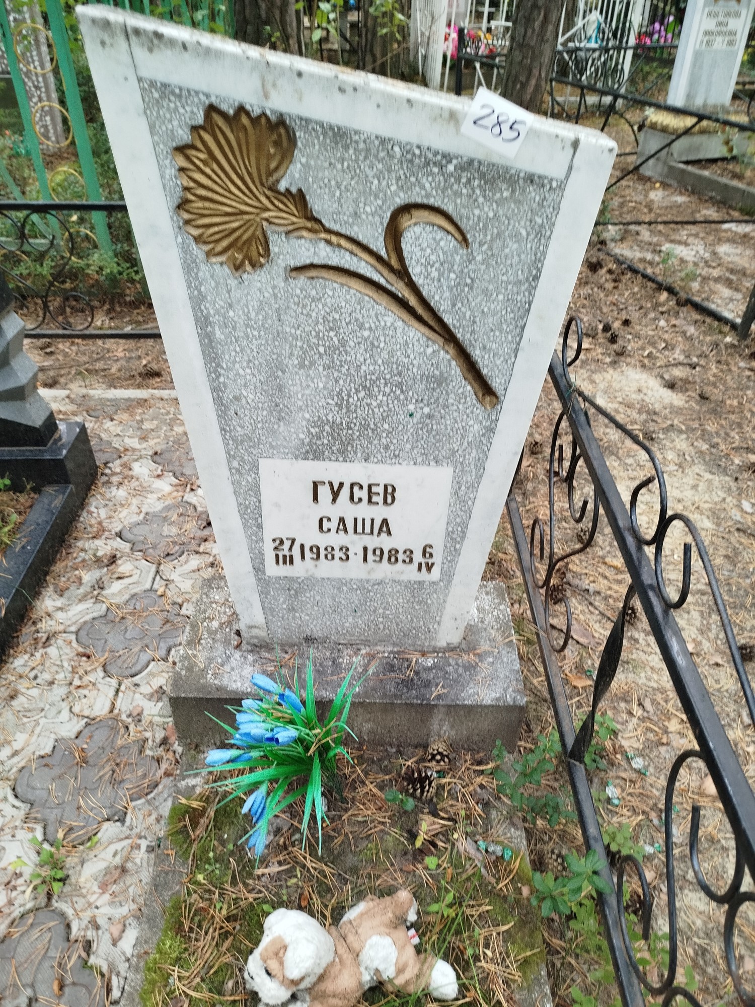 Гусев Саша