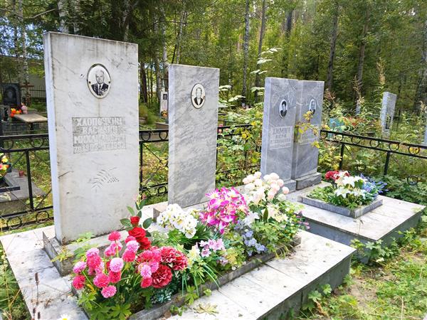 Химич Анатолий Андреевич