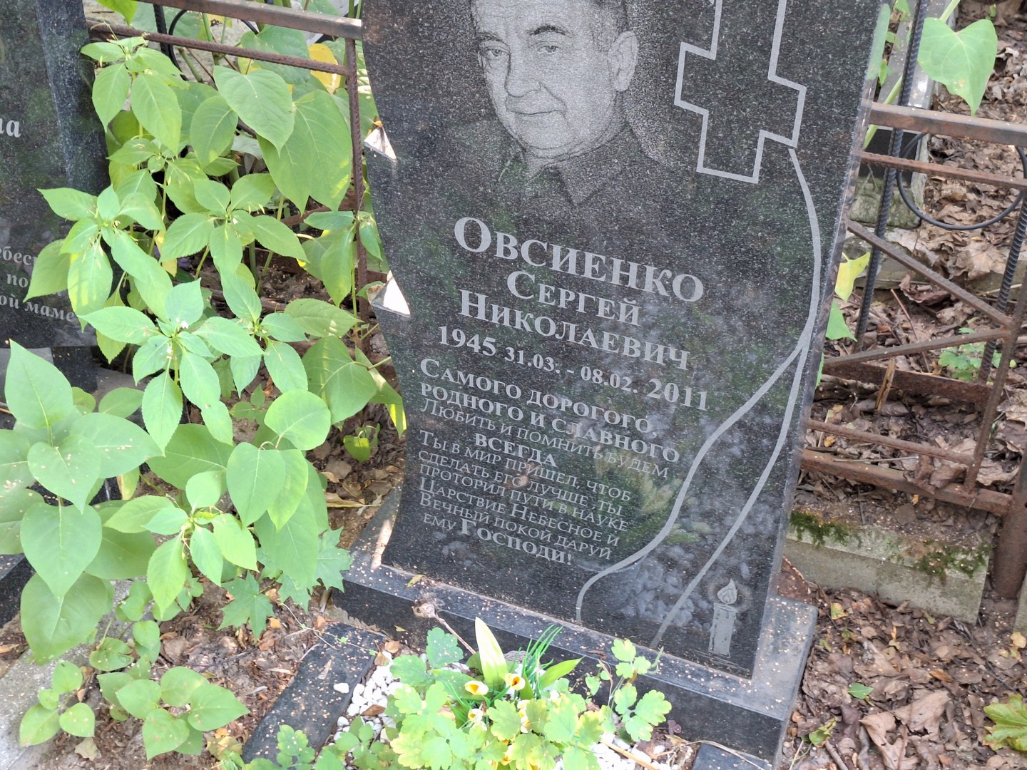 Овсиенко