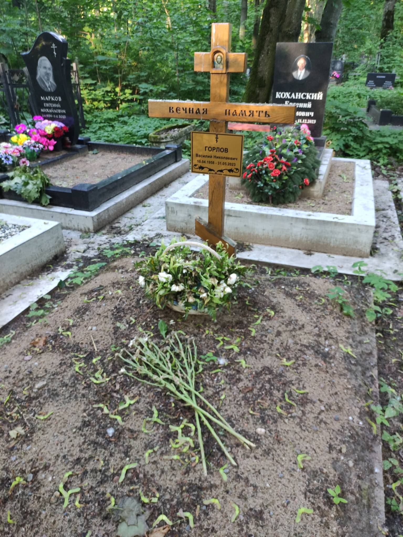 Горлов Василий Николаевич