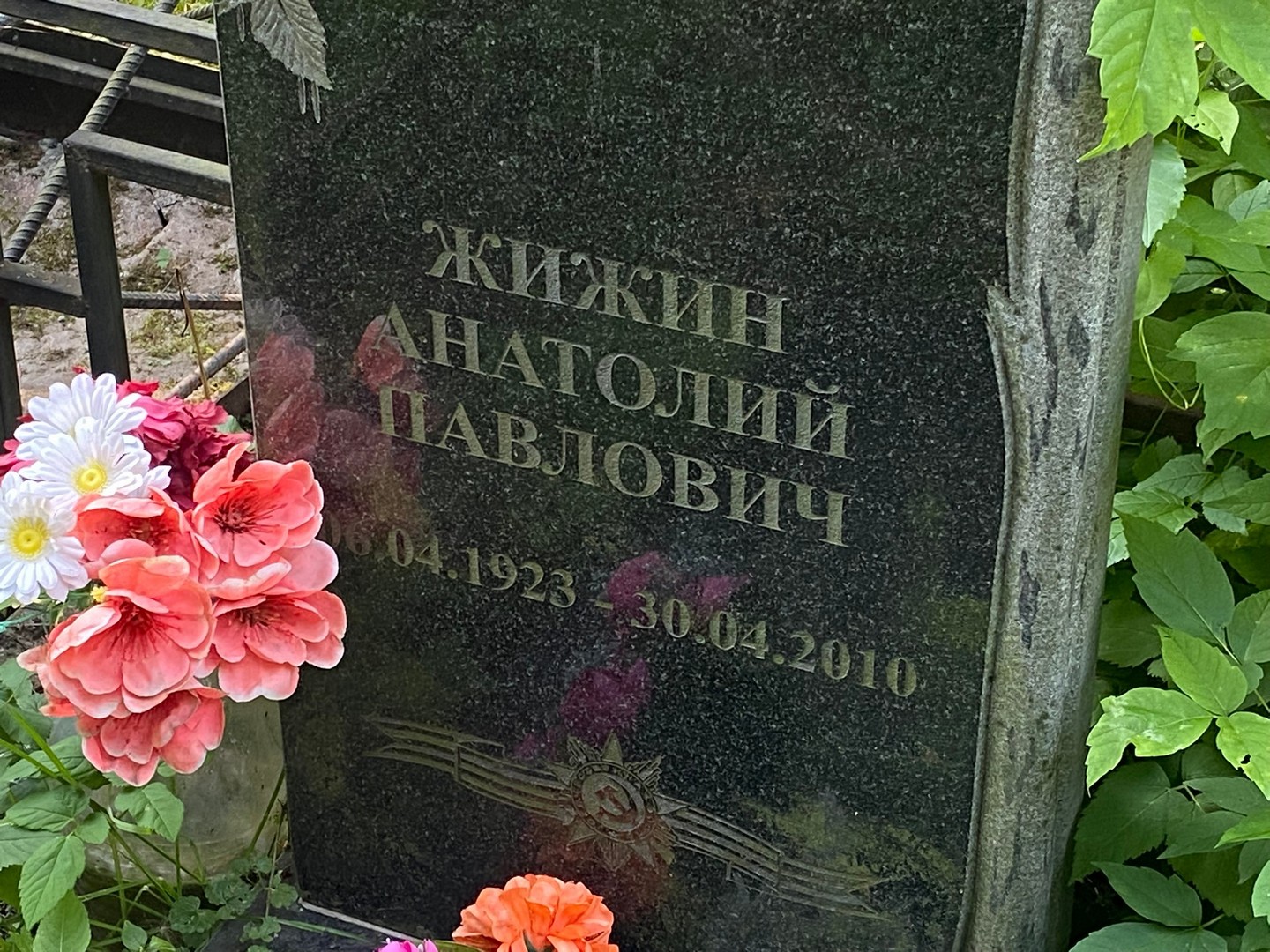 Жижин