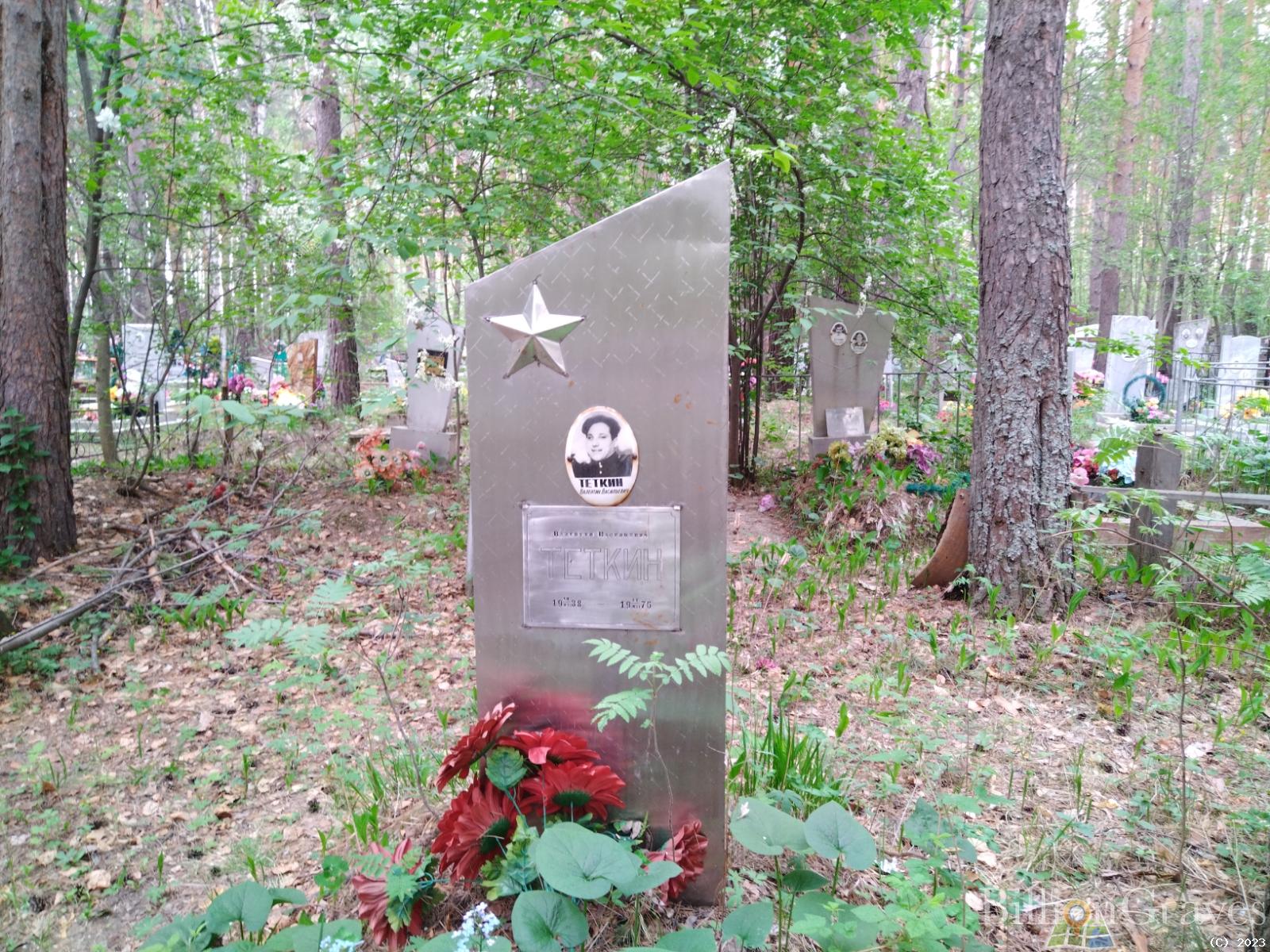 Теткин Валентин Васильевич