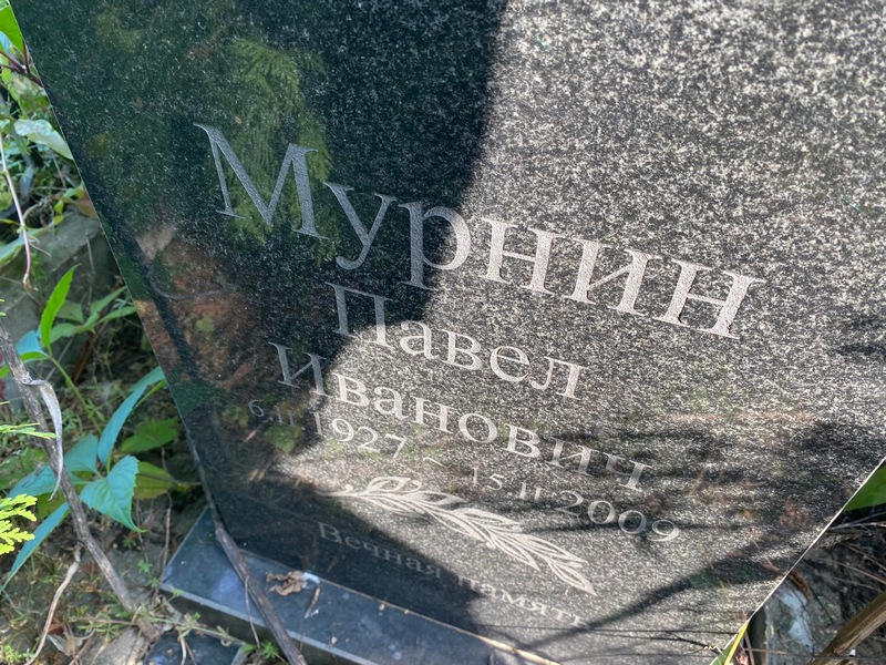 Мурнин