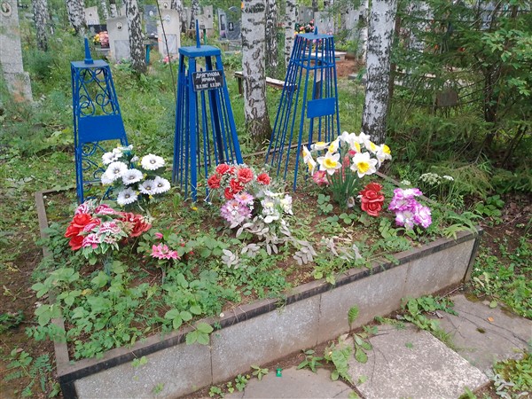 Дрягунова Ирина