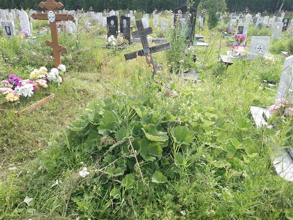 Кобяков Николай Петрович