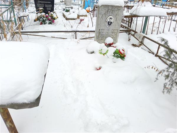 Волынский Александр Евгеньевич