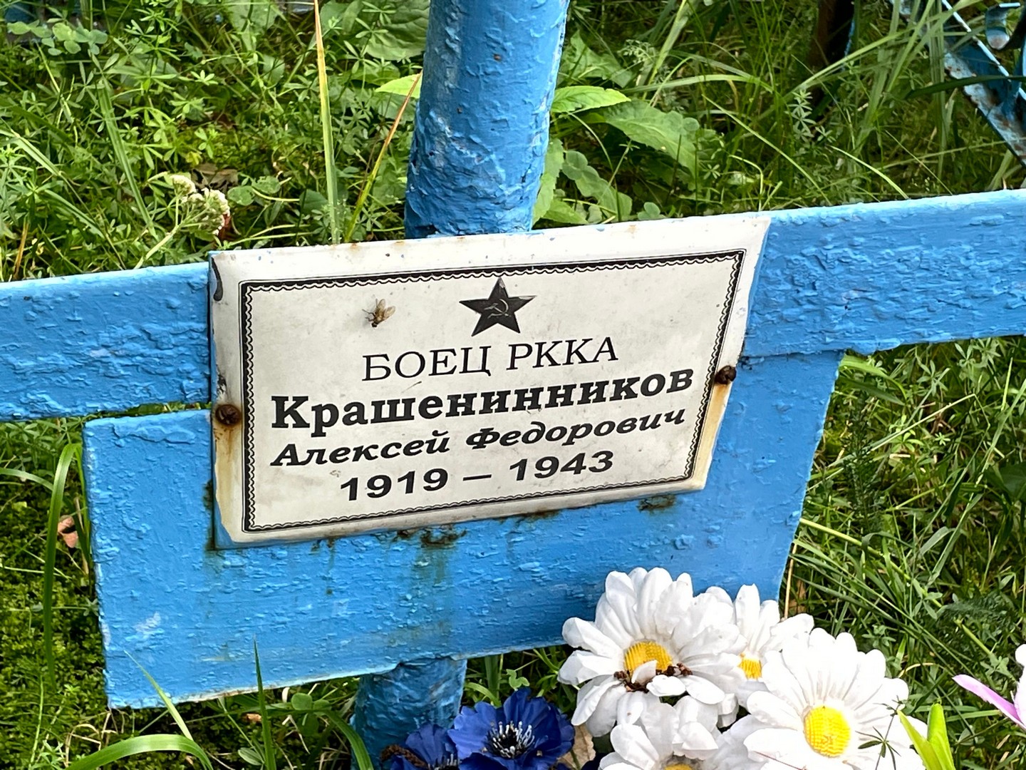 Крашенинников