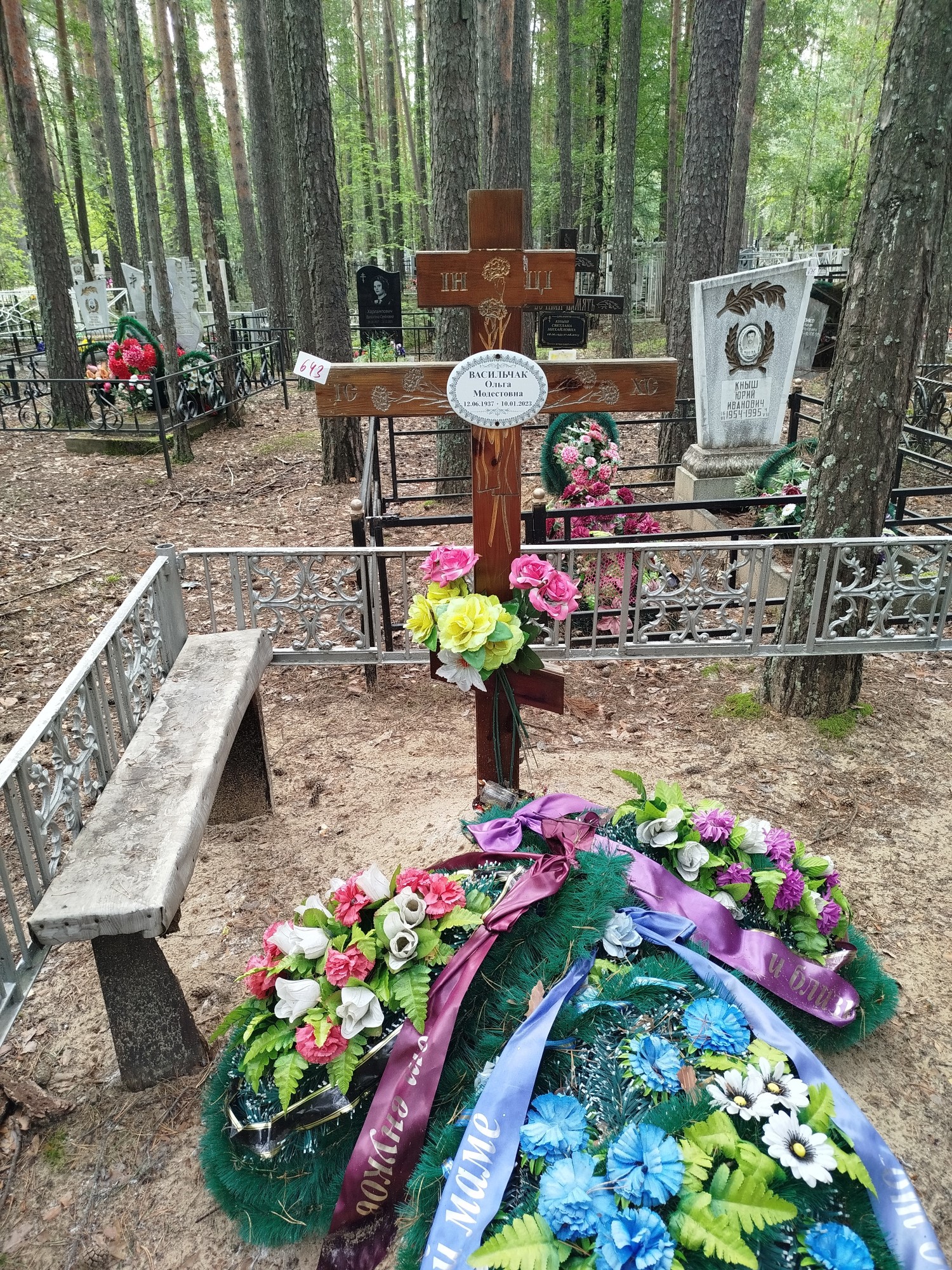 Васильчак Ольга Модестовна