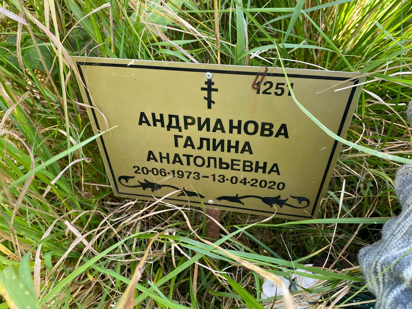 Андрианова