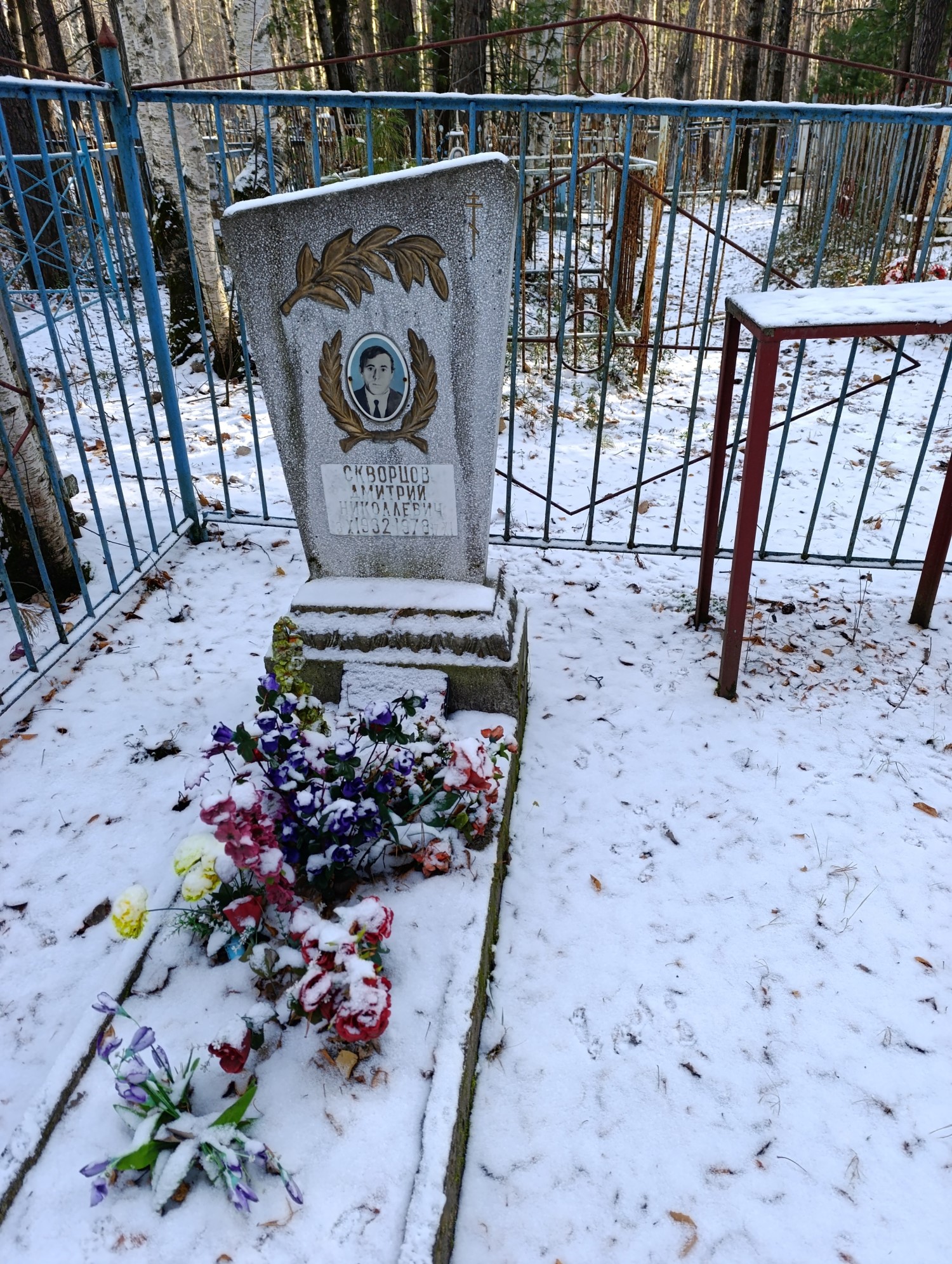 Скворцов Дмитрий Николаевич