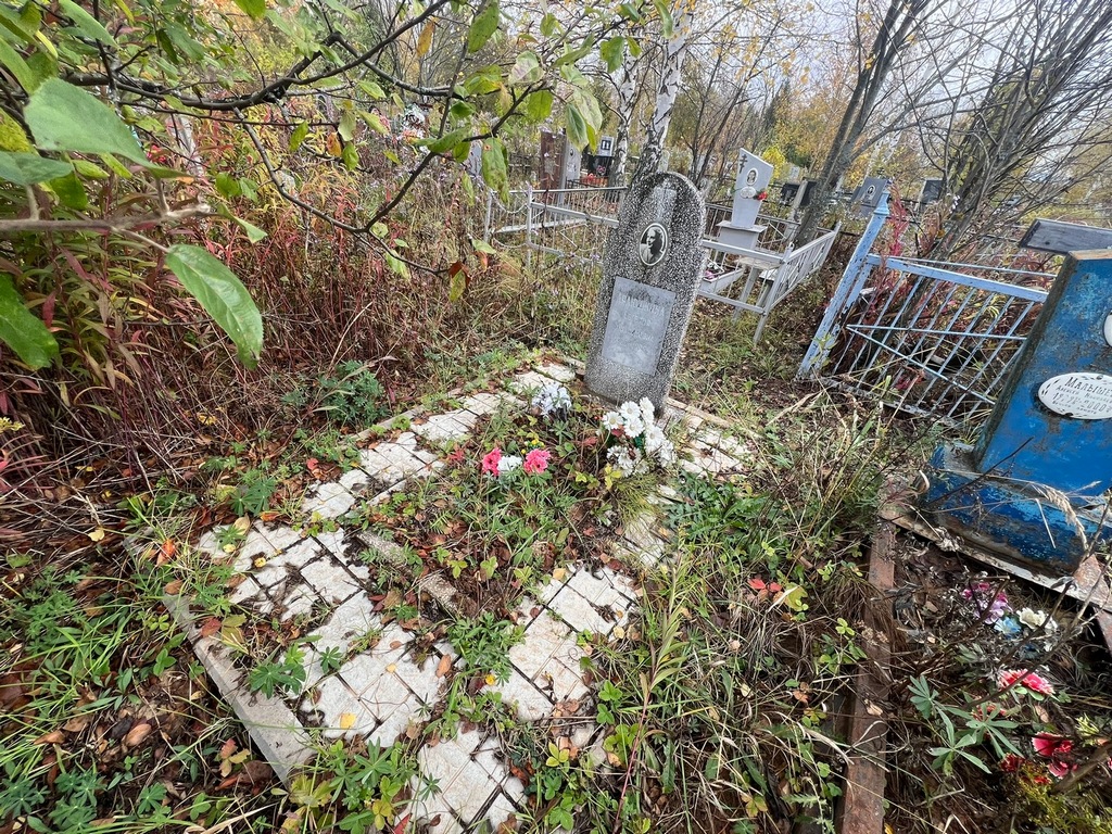 Лялюшкина Евгения Михайловна