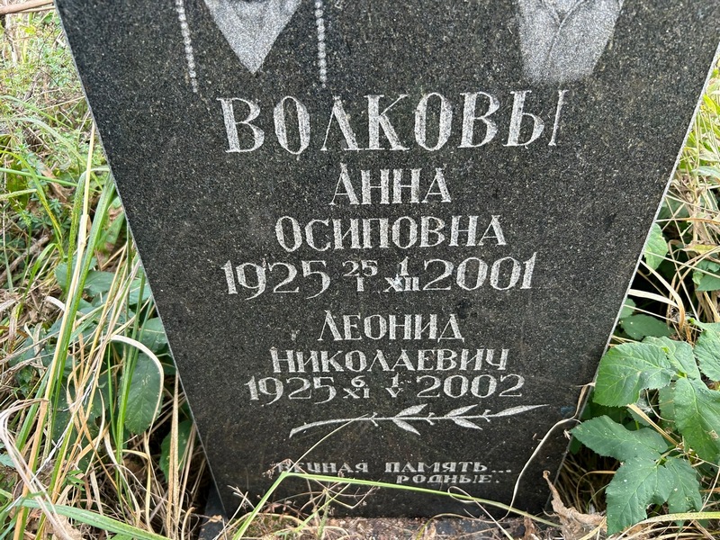 Волкова