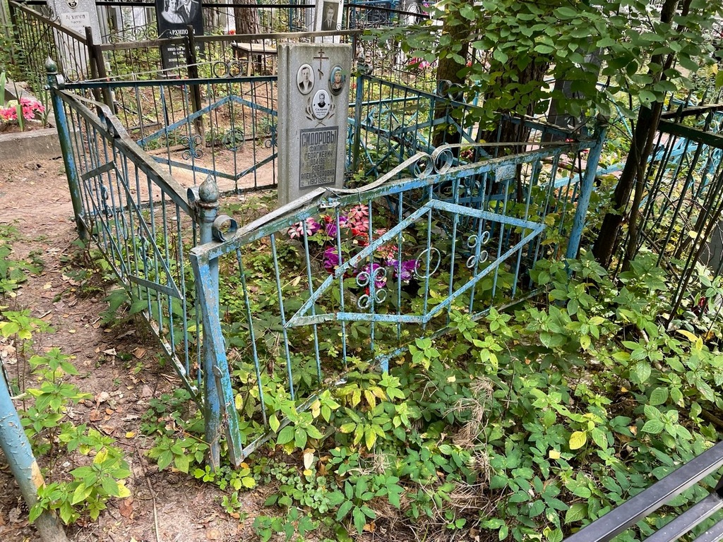 Сидорова Елена Александровна