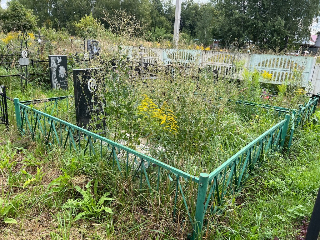 Сергеева Ксения Петровна