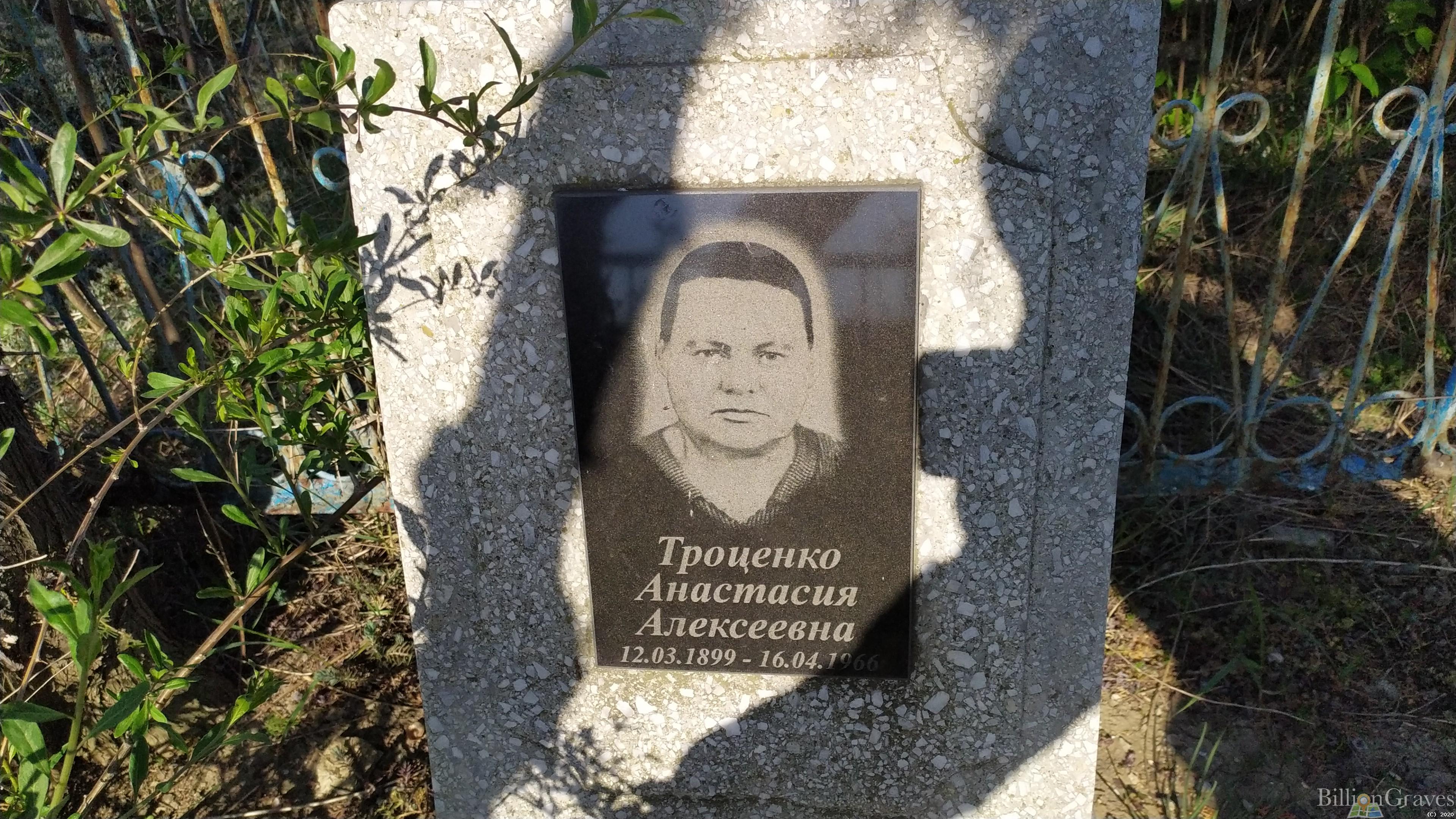 Троценко Анастасия Алексеевна