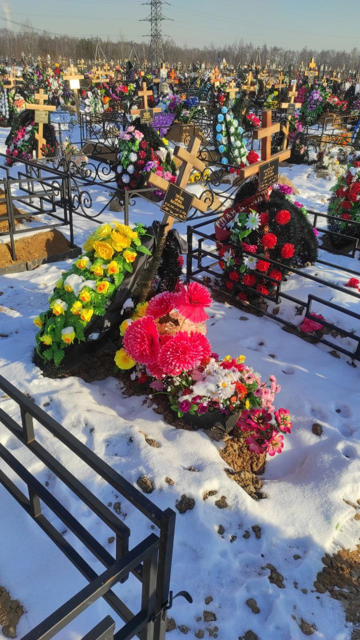 Тигина