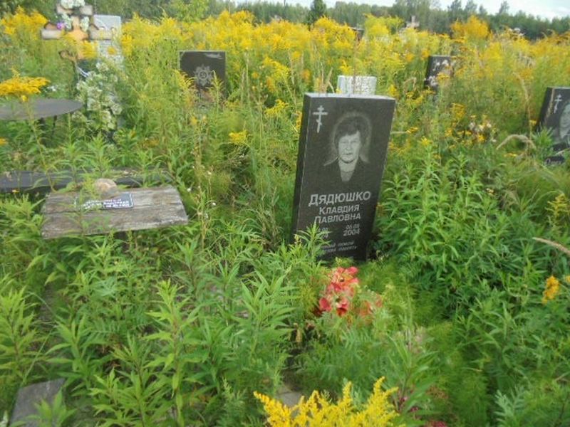 Дядюшко Клавдия Павловна