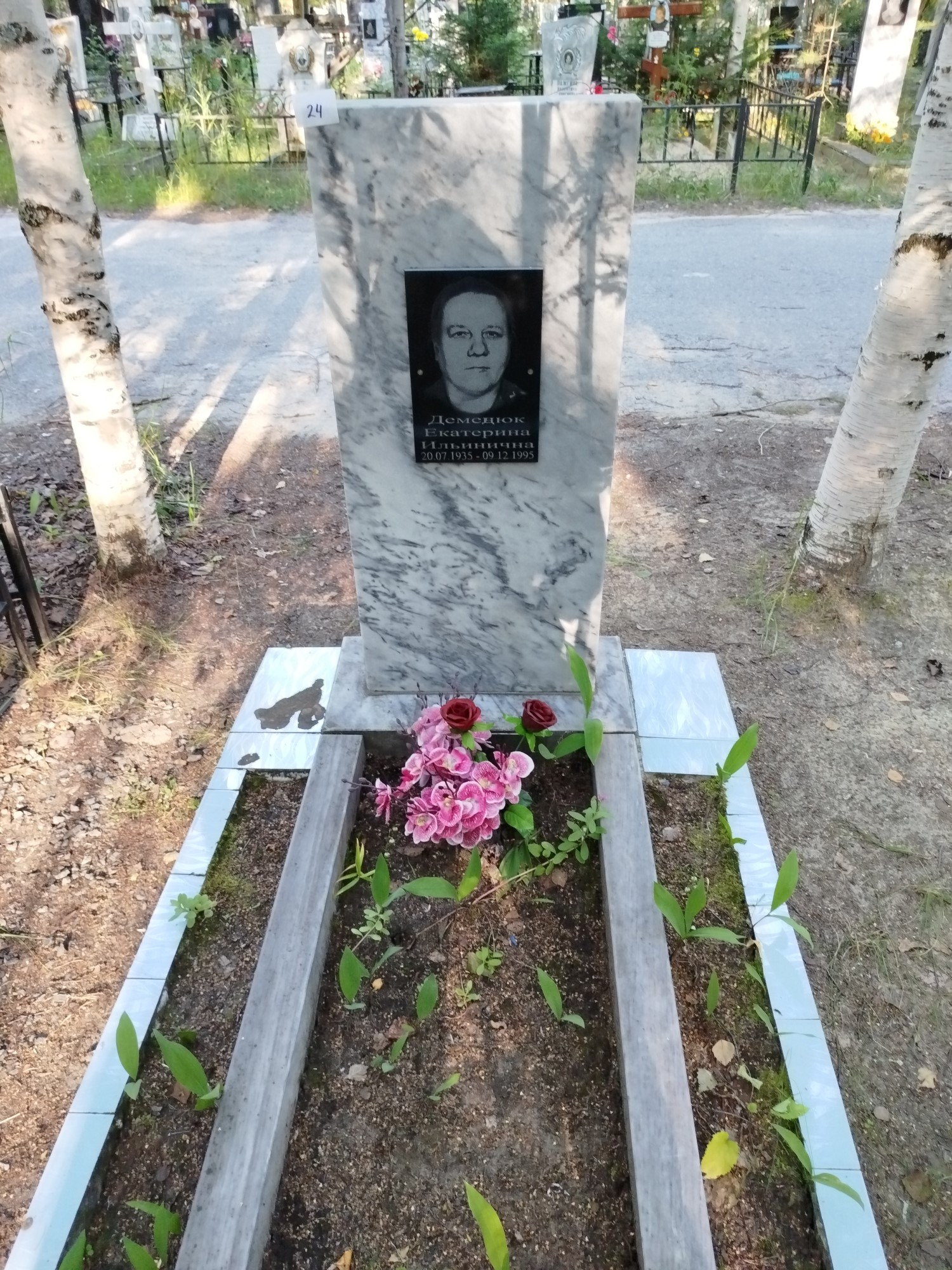 Демедюк Екатерина Ильинична