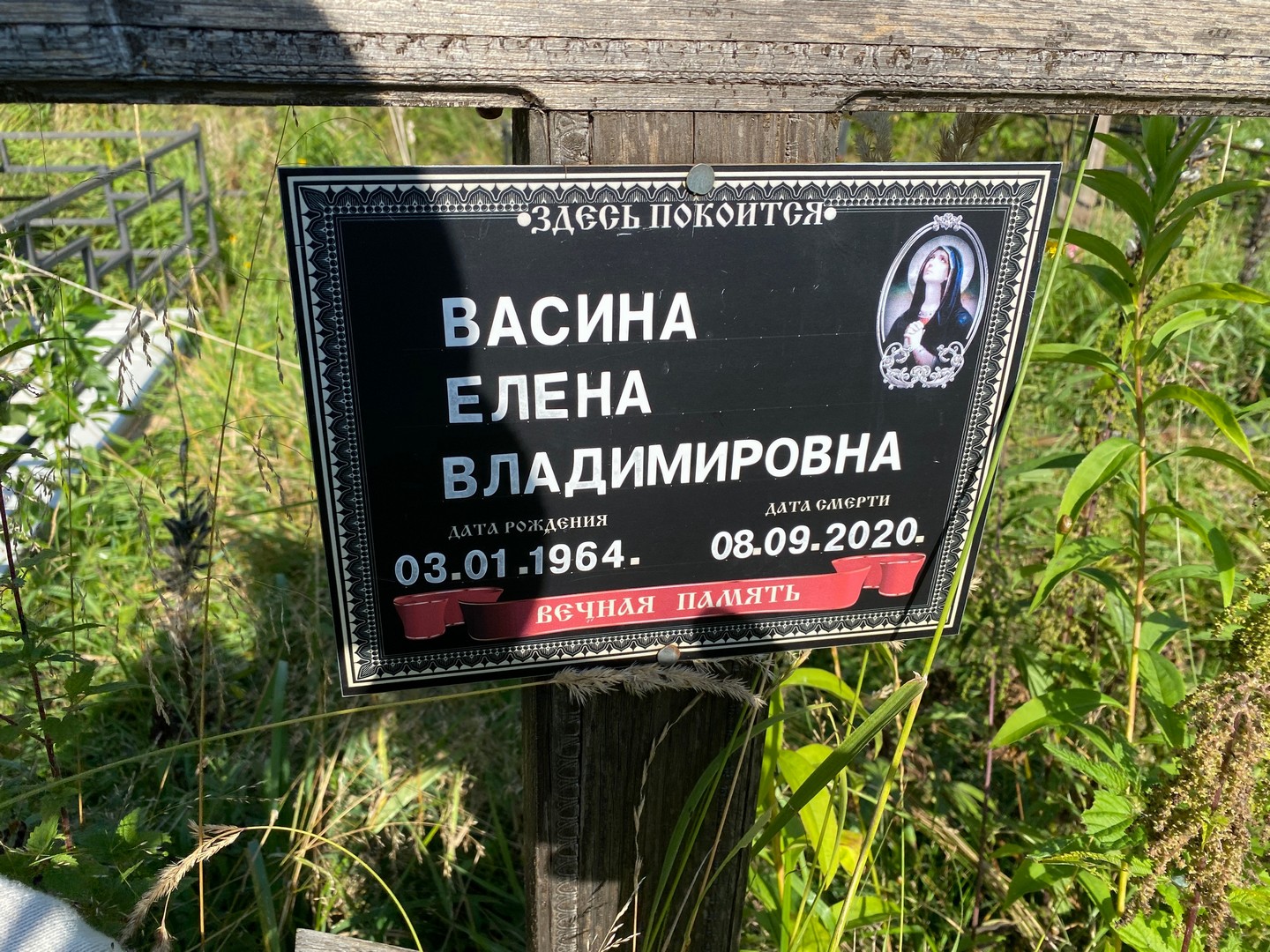 Васина