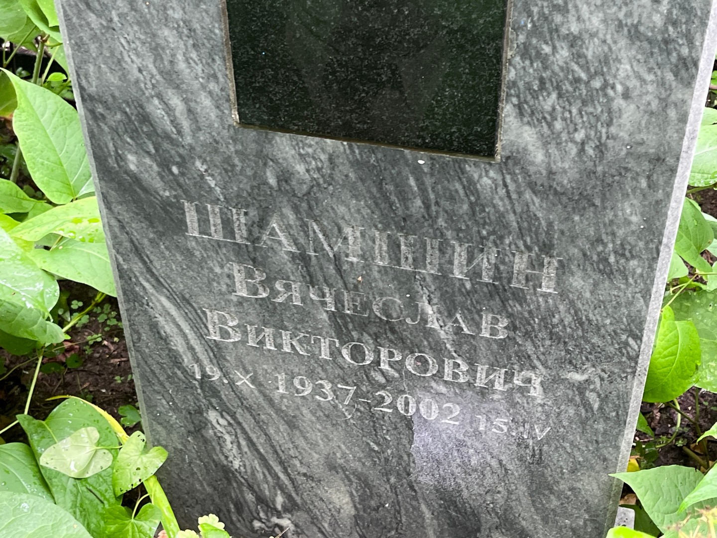 Шамшин