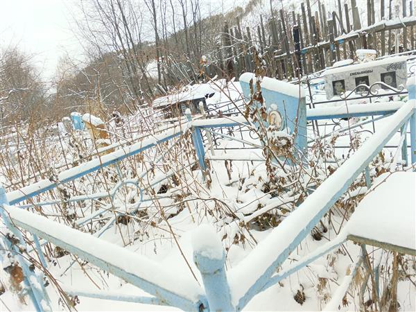 Панасик Анастасия Гавриловна