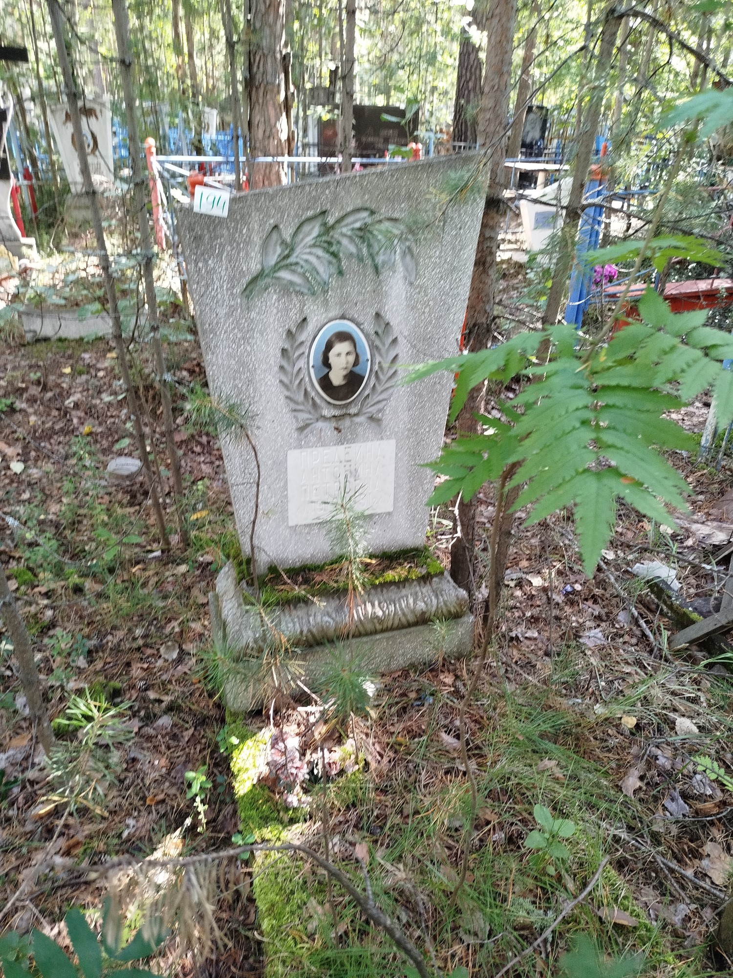 Предеина Антонина Петровна