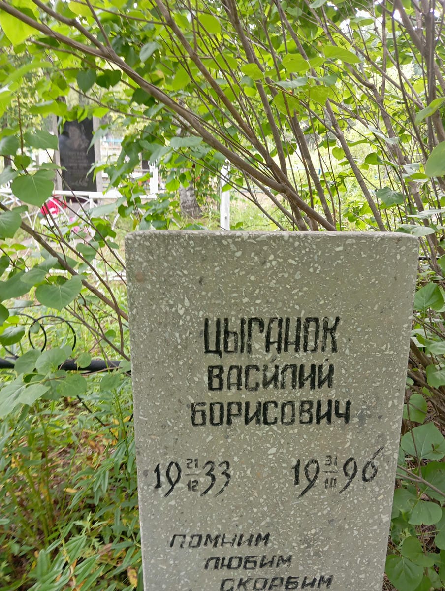 Цыганок Василий Борисович