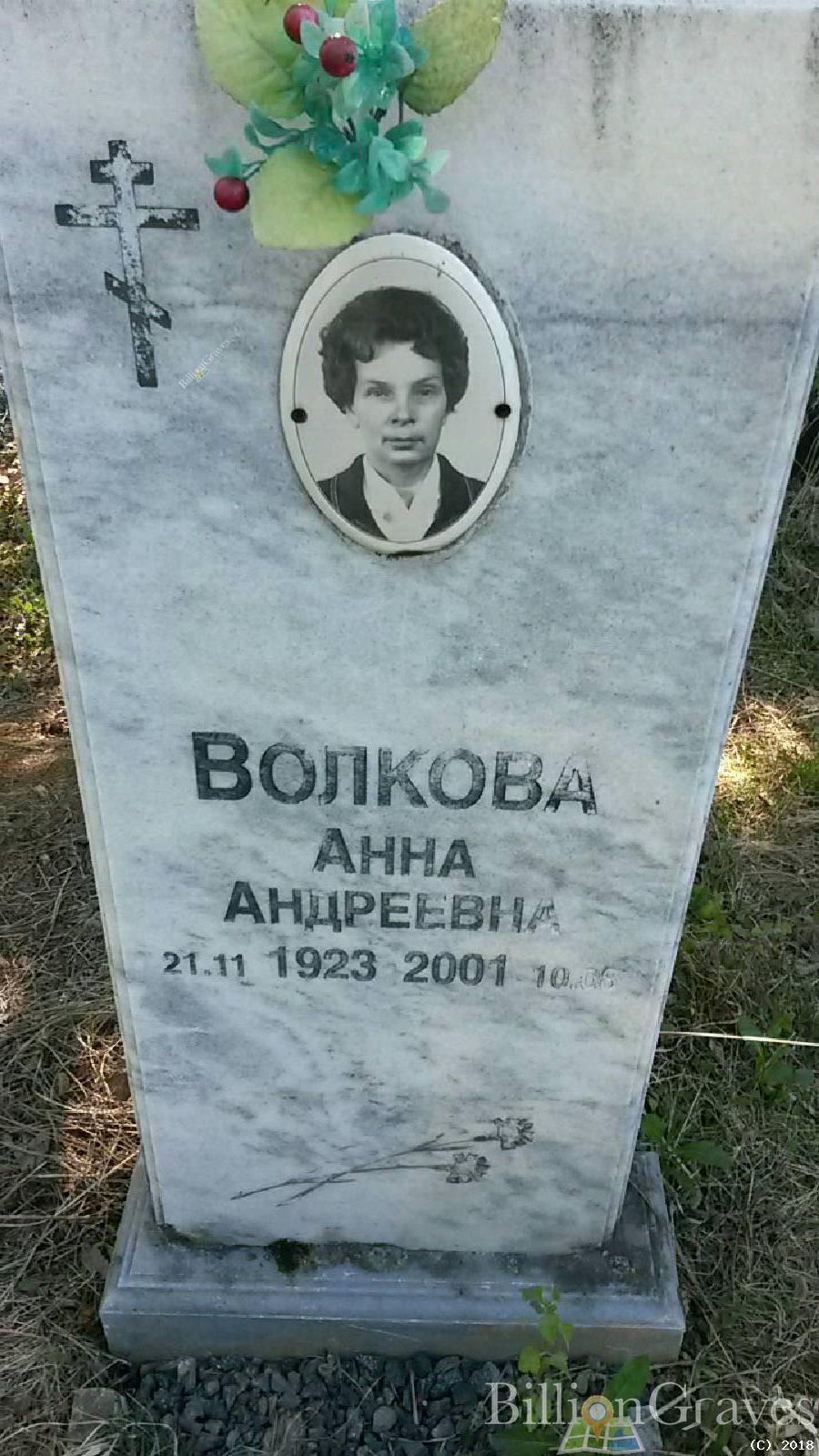 Волкова Анна Андреевна
