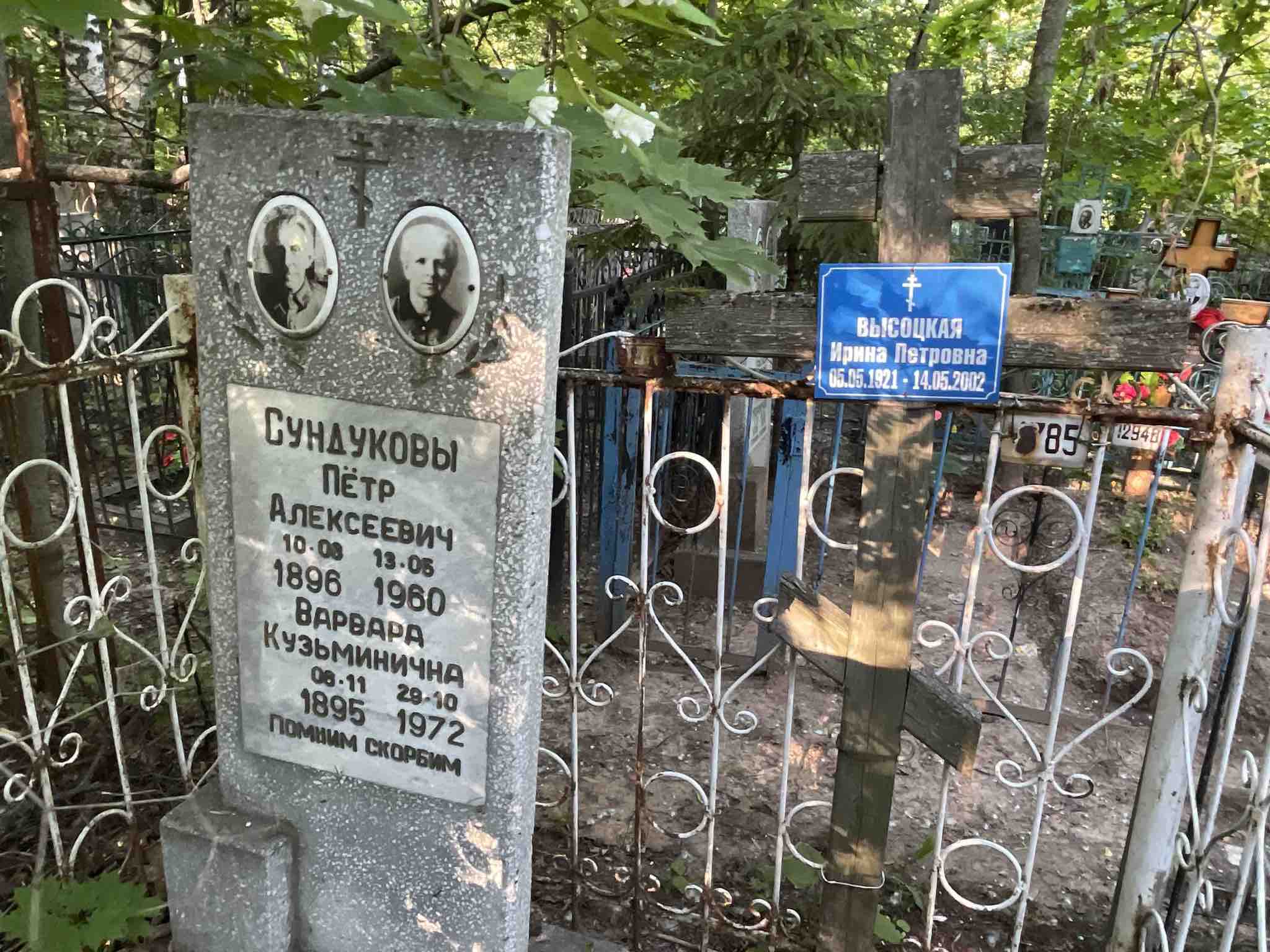 Высоцкая Ирина Петровна