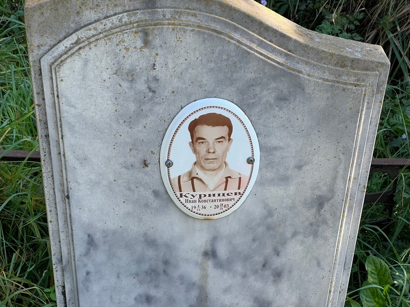 Курицев