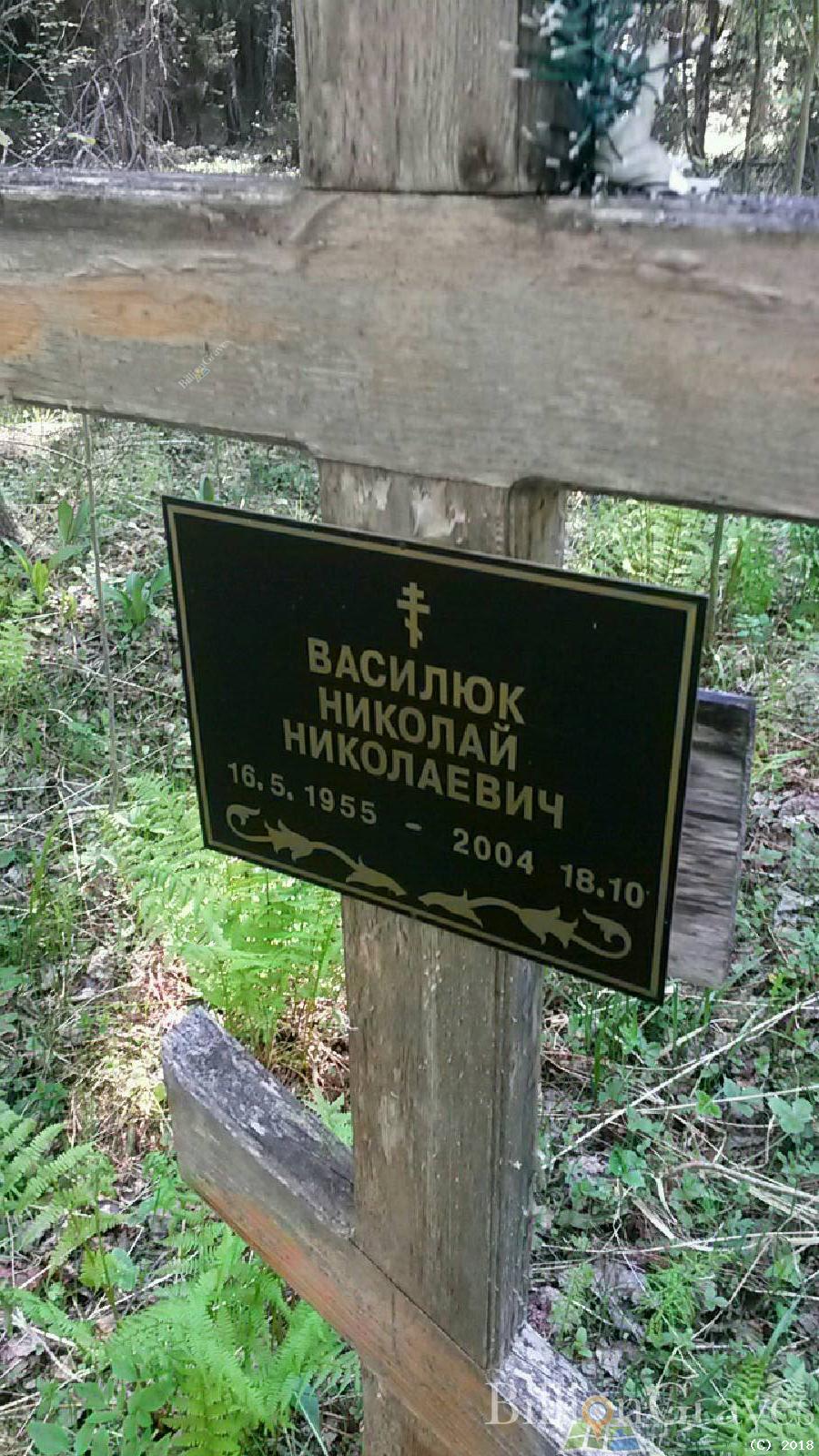 Василюк Николай Николаевич