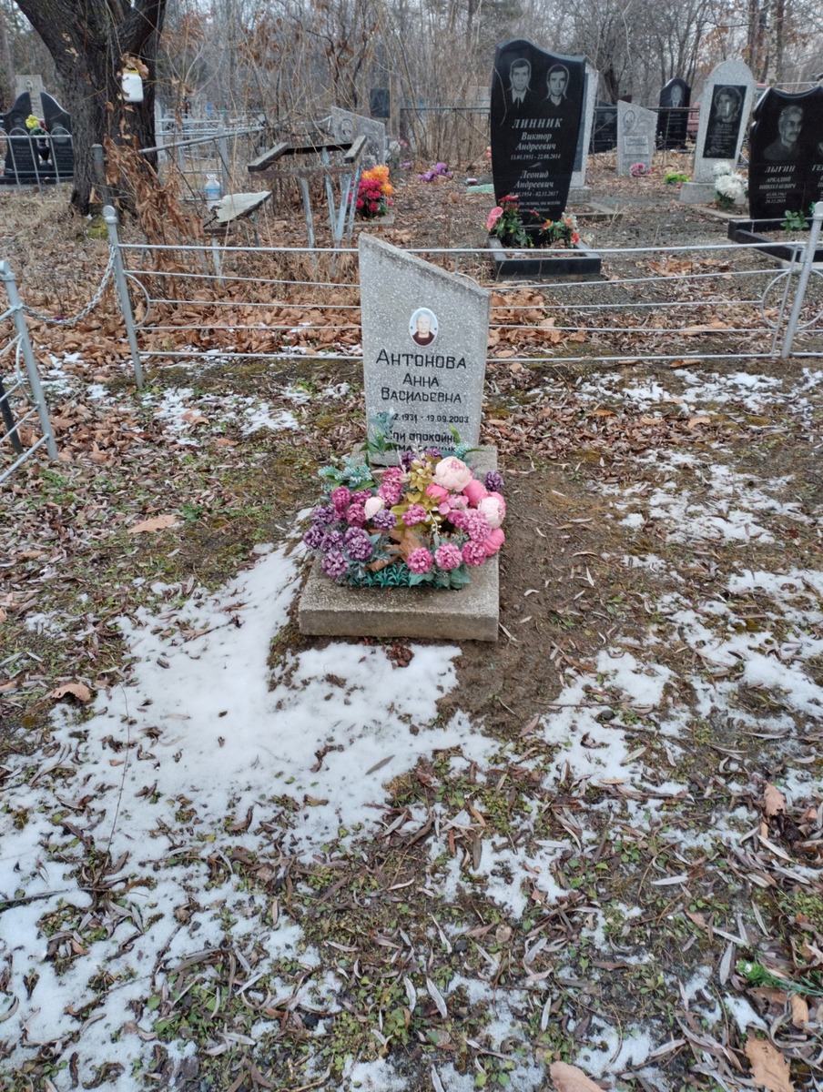 Антонова Анна Васильевна