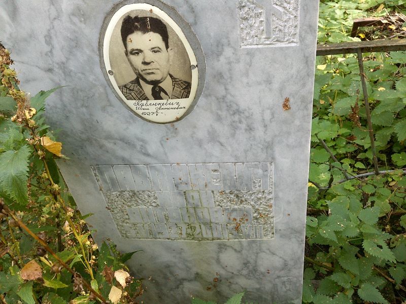 Павлюкевич