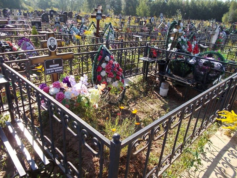 Каманин Николай Михайлович